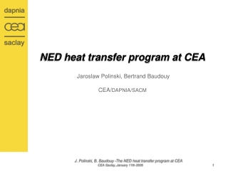 NED heat transfer program at CEA Jaroslaw Polinski, Bertrand Baudouy CEA/ DAPNIA/SACM