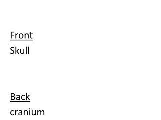 Front Skull Back cranium