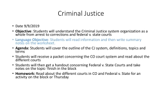 Criminal Justice