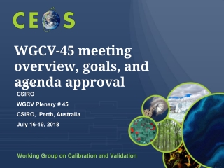 WGCV-45 meeting overview, goals, and agenda approval