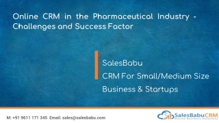 Online CRM in the Pharmaceutical Industry - Challenges and Success Factor
