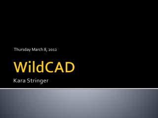 WildCAD Kara Stringer