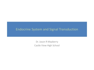 Endocrine System and Signal Transduction