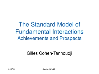 The Standard Model of Fundamental Interactions Achievements and Prospects