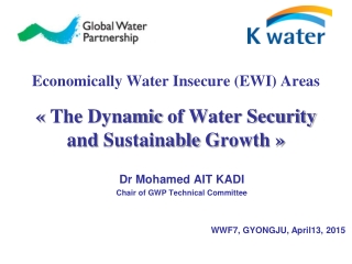 Dr Mohamed AIT KADI Chair of GWP Technical Committee