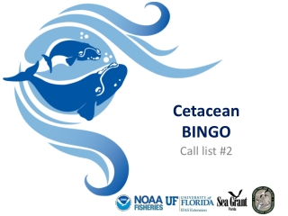 Cetacean BINGO