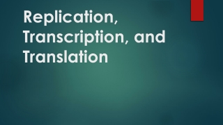 Replication, Transcription, and Translation