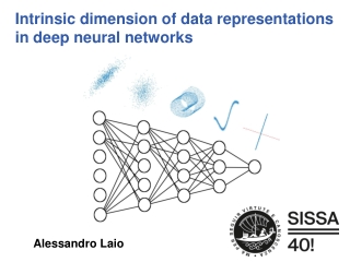 Intrinsic dimension of data representations in deep neural networks