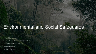 Environmental and Social Safeguards