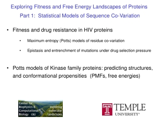 Exploring Fitness and Free Energy Landscapes of Proteins