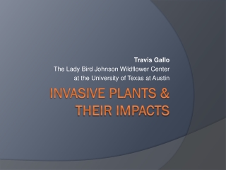 Invasive plants &amp; their impacts