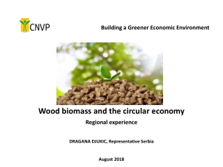 Wood biomass and the circular economy Regional experience DRAGANA DJUKIC, Representative Serbia