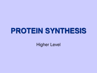 PROTEIN SYNTHESIS