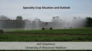 Specialty Crop Situation and Outlook