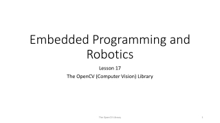 Embedded Programming and Robotics