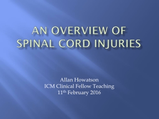 An Overview of Spinal Cord Injuries