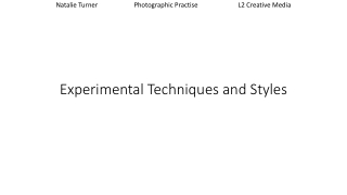 Experimental Techniques and Styles