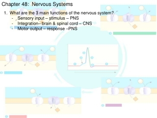 Chapter 48: Nervous Systems