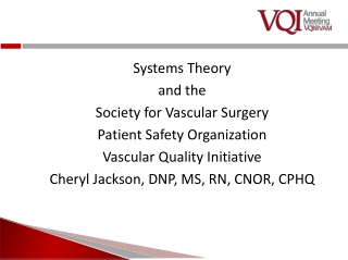 Systems Theory and the Society for Vascular Surgery Patient Safety Organization