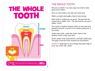 THE WHOLE TOOTH We use our teeth in so many ways we need to take good care of them.