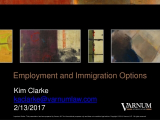 Employment and Immigration Options