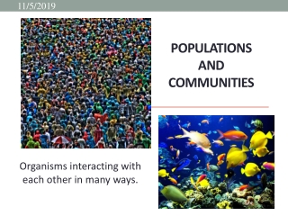 Populations and Communities