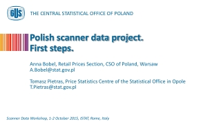 Polish scanner data project. First steps.