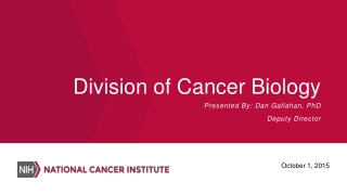 Division of Cancer Biology