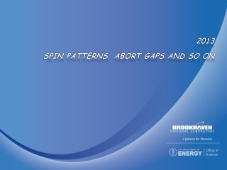 2013 Spin Patterns, abort Gaps and so on