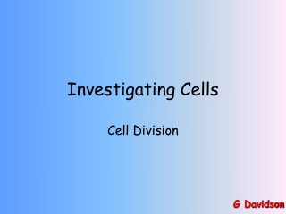 Investigating Cells