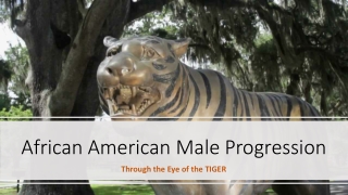 African American Male Progression