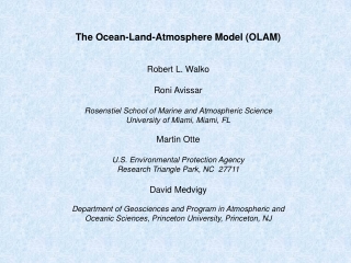 The Ocean-Land-Atmosphere Model (OLAM) Robert L. Walko Roni Avissar