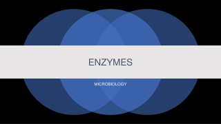 ENZYMES