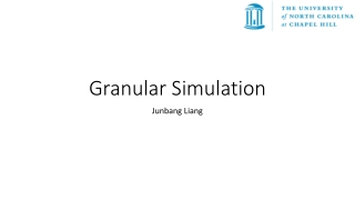 Granular Simulation