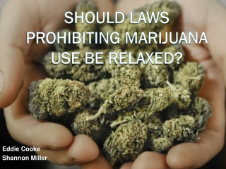 Should Laws Prohibiting Marijuana Use Be Relaxed?