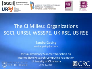 The CI Milieu: Organizations SGCI, URSSI, WSSSPE, UK RSE, US RSE Sandra Gesing