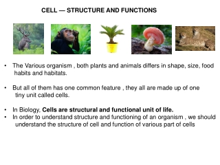 The Various organism , both plants and animals differs in shape, size, food