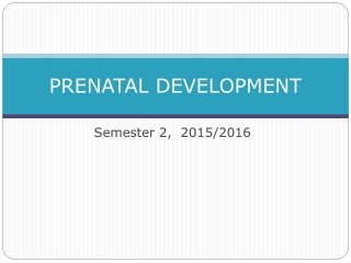 PRENATAL DEVELOPMENT