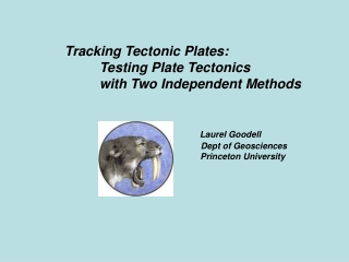 The theory of plate tectonics is supported by many lines of evidence…