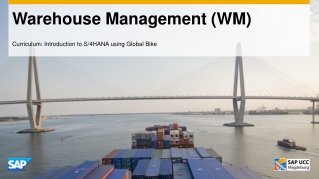 Warehouse Management (WM)