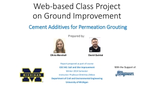 Web-based Class Project on Ground Improvement