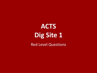 ACTS Dig Site 1