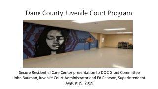 Dane County Juvenile Court Program