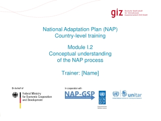 Module I.2 Conceptual understanding of the NAP process Trainer: [Name]