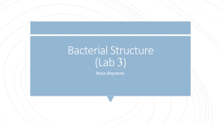 Bacterial Structure (Lab 3 )