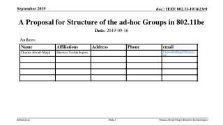 A Proposal for Structure of the ad-hoc Groups in 802.11be