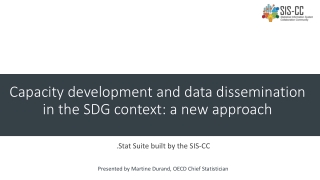 Capacity development and data dissemination in the SDG context: a new approach