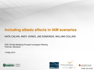 Including albedo affects in IAM scenarios