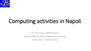 Computing activities in Napoli