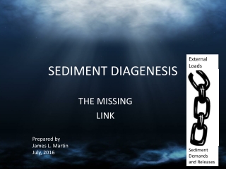 SEDIMENT DIAGENESIS